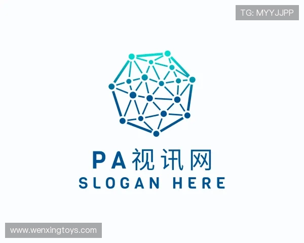 介绍PA视讯